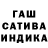 ГАШ Ice-O-Lator Kamila Kuatbekova