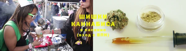 PSILOCYBIN Верея