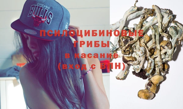 PSILOCYBIN Верея