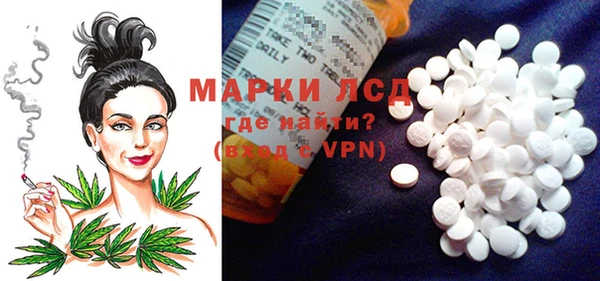 мдпв Бородино