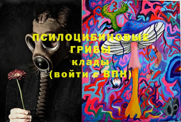 PSILOCYBIN Верея