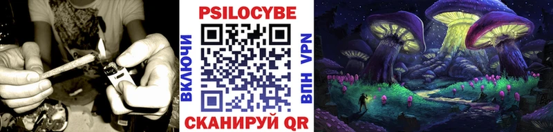 Псилоцибиновые грибы ЛСД  ОМГ ОМГ ТОР  Находка 